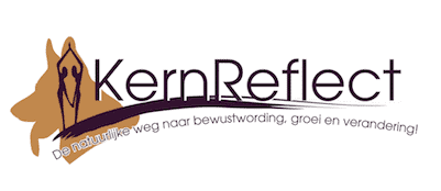 Kernreflect